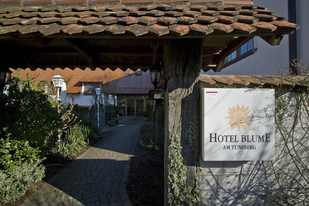 Hotel Blume ไฟรบวร์กอิมไบรส์เกา ภายนอก รูปภาพ